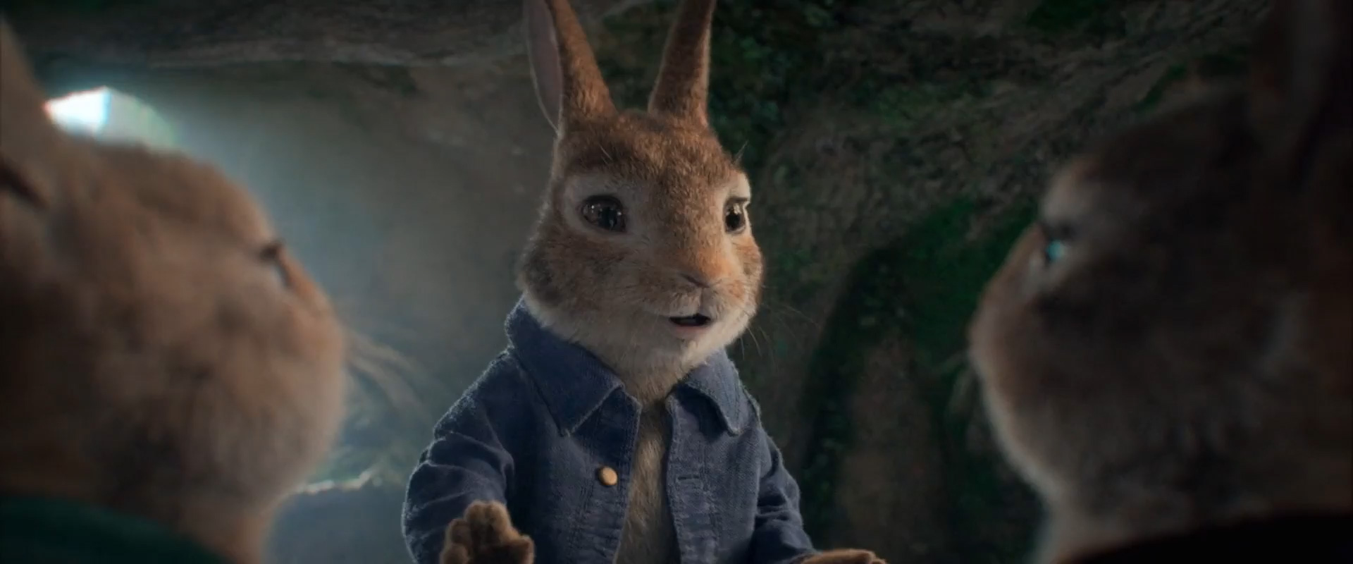 Peter Rabbit